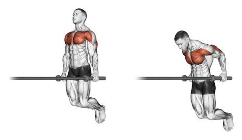 Top 5 Best Exercises for a Lean Chest Workout