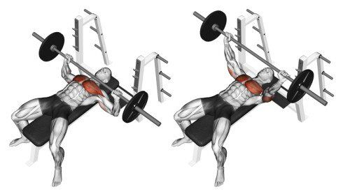 How to Do the Incline Bench Press for Upper-Body Size and Strength -  Breaking Muscle