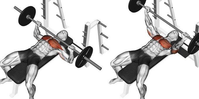 5 Of The Best Chest Exercises That Should Be In Every Chest