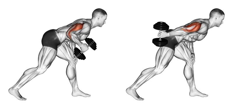 Dumbbell Kickbacks to Work Your Triceps at Home or the Gym