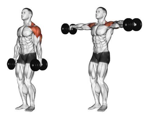 Shoulders Workout on Shoulder Day to Build Wider 3D Shoulder - 어깨운동
