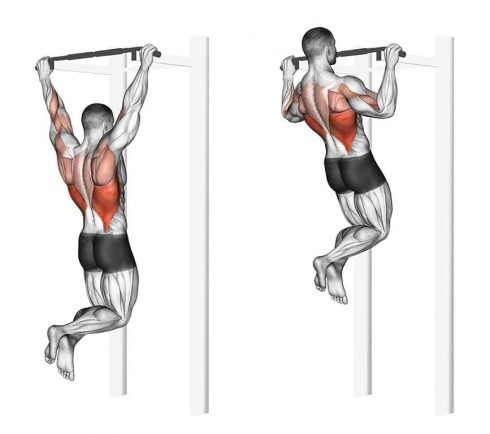 Home Back Workout to Increase Back Strength and Width