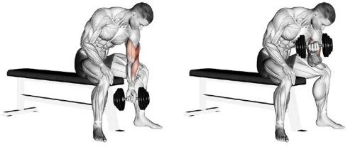 Arm Workout With Dumbbells at Home, Simple and Effective
