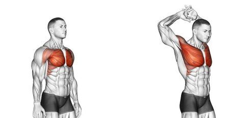 Best Chest Stretches For Tight Chest Muscles