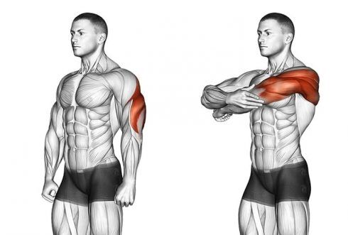 Overhead Triceps Stretch  Triceps, Stretch gym, Back pain exercises