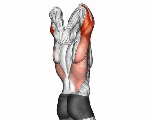 5 Best Tricep Stretches for a Healthy and Supple Tricep Muscle