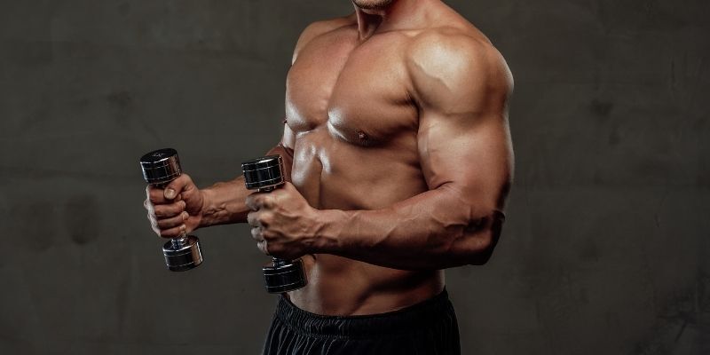 11 Best Bi workout ideas  biceps workout, big biceps workout, gym