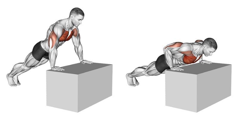 An illustrated chart of the best chest exercises  Chest workout, Best  chest workout, Chest and tricep workout