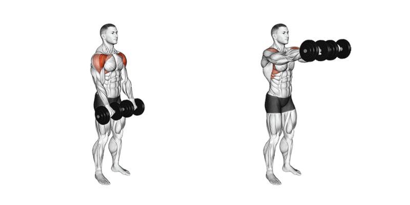 Seated alternating dumbbell front raise exercise instructions and video
