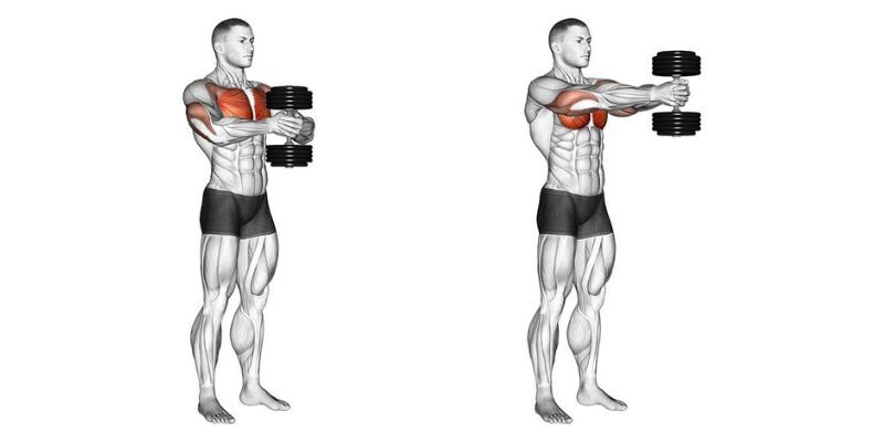 Chest Workout: 5 Exercises, 1 Dumbbell