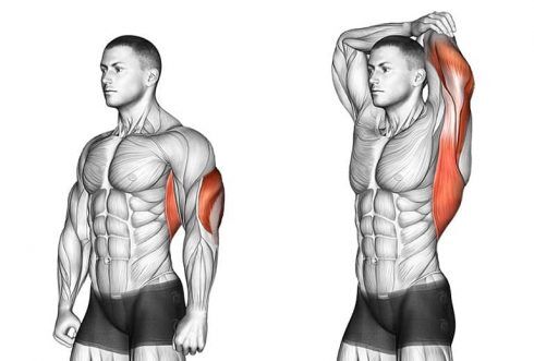 Standing Tricep Stretch