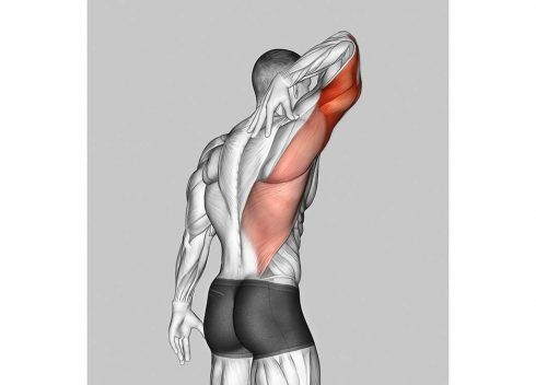 Tricep Stretch Using Wall